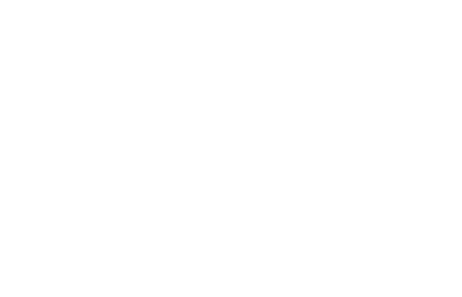 University of South Carolina College of Social Work logo.